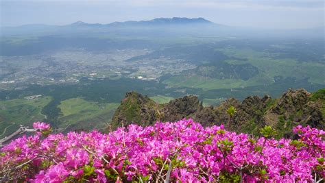 ～ミヤマキリシマ咲く九州の2座 ゆっくりペースのお花見登山～ 花の九重山と阿蘇山 3日間｜アルパインツアー・海外国内のハイキング、トレッキング