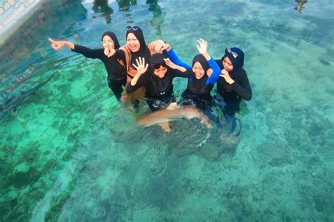 Paket Tour Karimunjawa Homestay Ac H M Kapal Express Bahari Pp