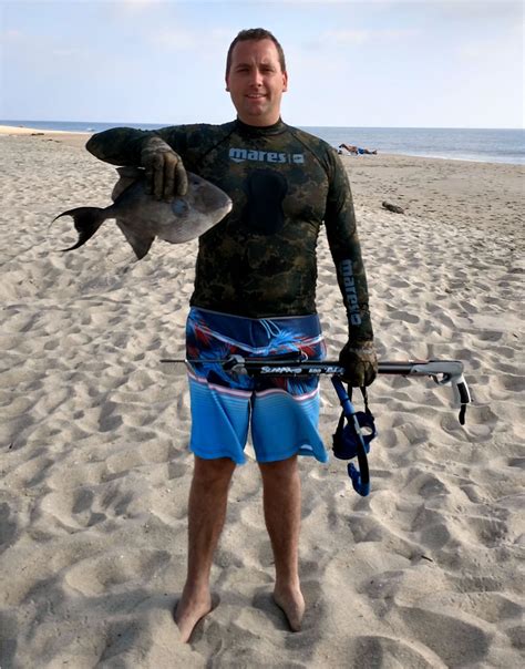 Njdep Division Of Fish Wildlife State Record Gray Triggerfish