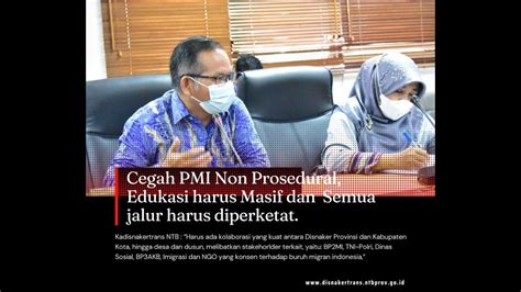 Cegah Pmi Non Prosedural Edukasi Harus Masif Dan Semua Jalur Harus