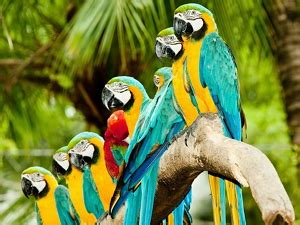 Доступный учебник по работе программе ФотоМАСТЕР