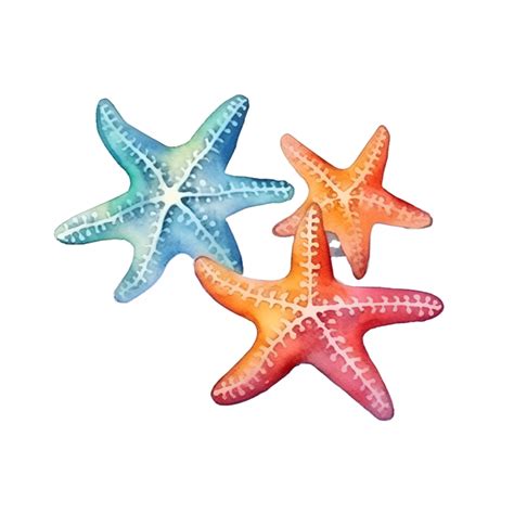 Starfish Watercolor Clipart 24065352 PNG