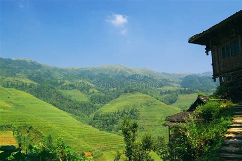 China Countryside Field Landscape Stock Photo - Image of fecund, agronomic: 8555660