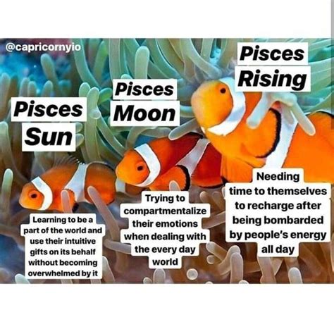 Pin by KNB on Moon in Pisces | Learn astrology, Pisces, Astrology chart