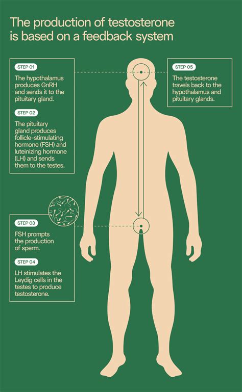 Treatments For Low Testosterone Low Testosterone Symptoms