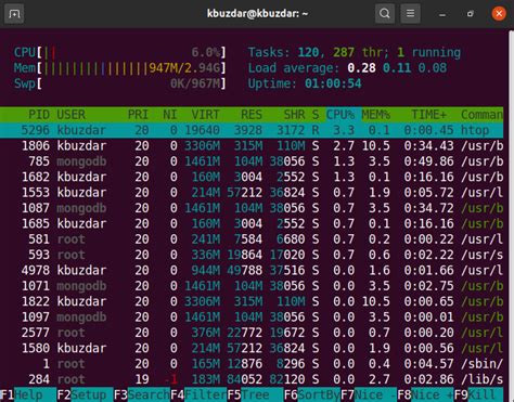 How To Use Htop To Monitor System Processes In Ubuntu 2004 Vitux