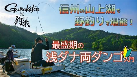 🔰初心者必見🔰最盛期の浅ダナ両ダンゴ入門「釣旅 がまかつムービー」vol 2 Youtube