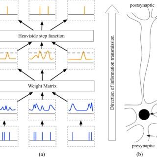 The LIF Spiking Neuron Model A The Dynamics Of LIF Neuron Model B The