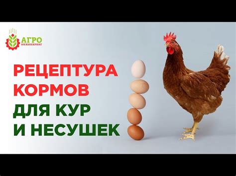 Калькулятор Комбикорма Для Кур