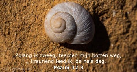 Psalm 32 3 Bijbeltekst DailyVerses Net