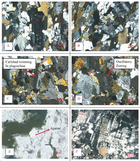 Photomicrographs Showing A Primary Magmatic Fabric Represented By Spo Download Scientific