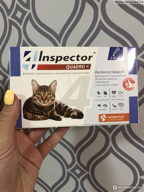 Капли от блох и клещей Inspector Quadro K для кошек 1-4 кг. - «Ветврач ...