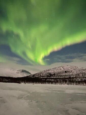 Abisko Northern Lights Tour with photographer - 4h Tour