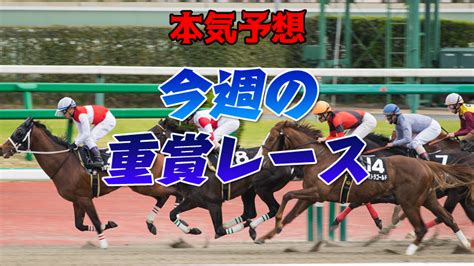 最新更新 【宝塚記念】2023予想レース展開馬券考察まとめ。