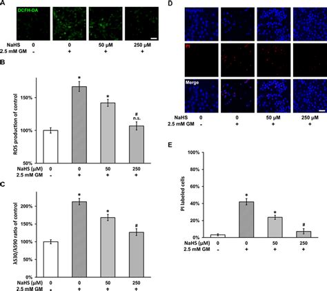 NaHS Inhibits Gentamicin Induced ROS Production Mitochondrial