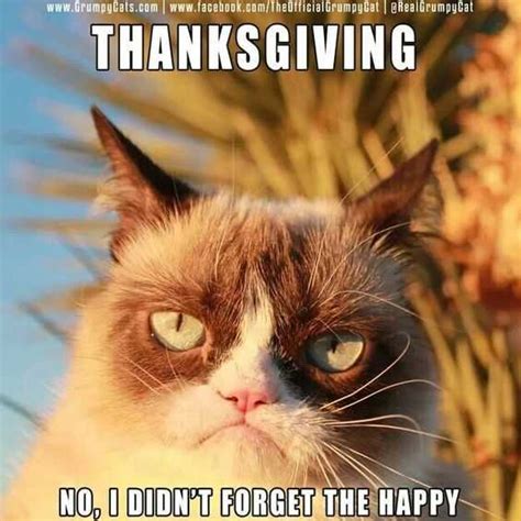 Funny Thanksgiving Memes 2024 Diana Filippa