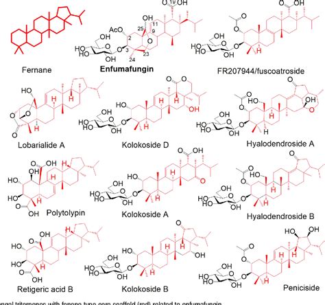 Figure 2 From Enfumafungin Synthase Represents A Novel Lineage Of