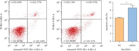 Knockdown Of CDR1as Inhibited Cell Proliferation And Induced Cell