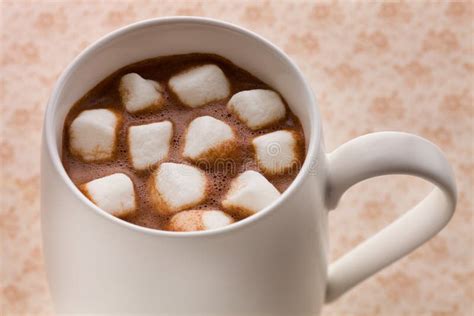 Hot Chocolate Marshmallow Stock Image Image Of Brown 19726459