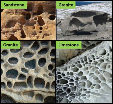 Totally Terrific Tafoni! – Backyard Geology