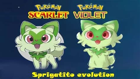 Sprigatito Evolution New Pokemon Scarlet And Pokemon Violet Leak