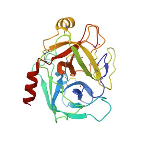 RCSB PDB 1PPE THE REFINED 2 0 ANGSTROMS X RAY CRYSTAL STRUCTURE OF