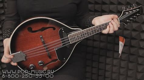 Мандолина STAGG M50E | Mandolin, Music instruments