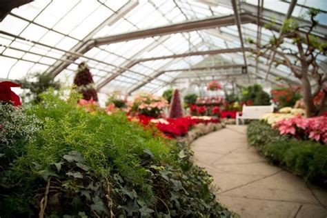 Explore Centennial Park Conservatory, Etobicoke, ON