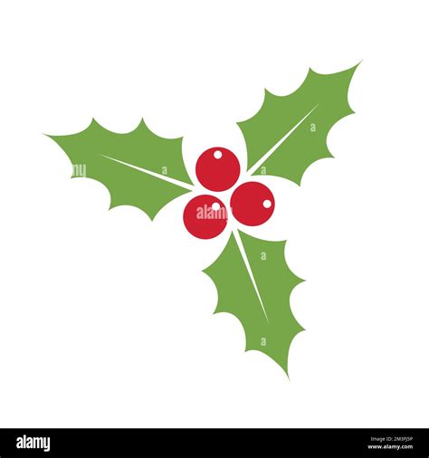 Vector flat Christmas holly berry Stock Vector Image & Art - Alamy