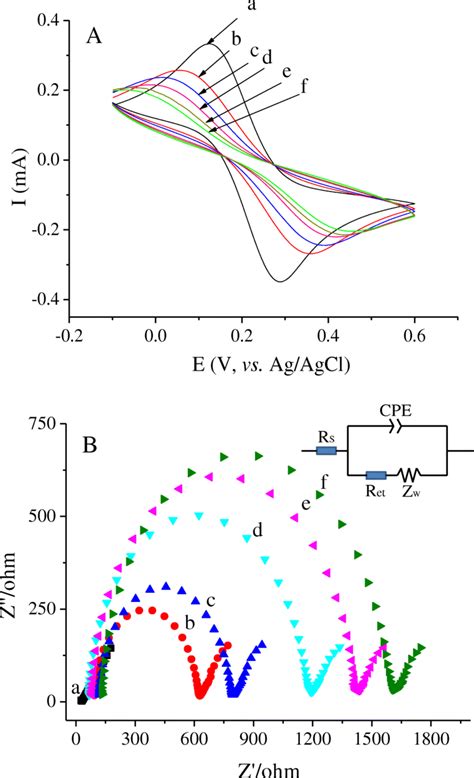 A Cyclic Voltammograms And B AC Impedances Curves Of Modification