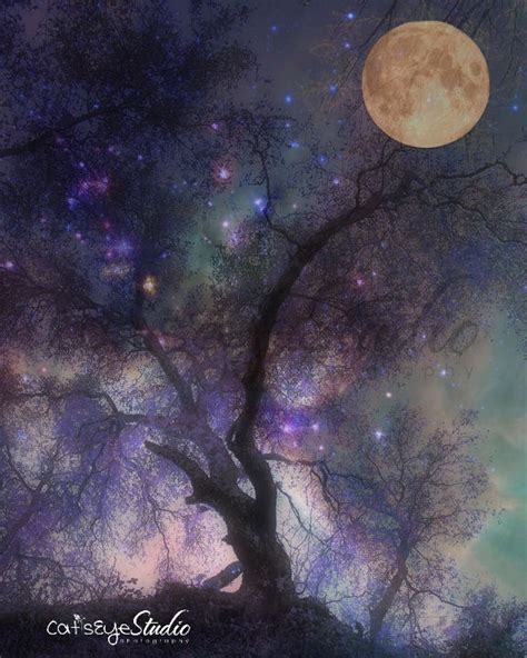 Surreal Twilight Art Print Full Moon Purple Sky Enchanted Forest