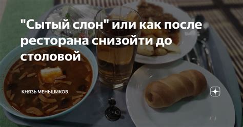 "Сытый слон" или как после ресторана снизойти до столовой | Князь ...
