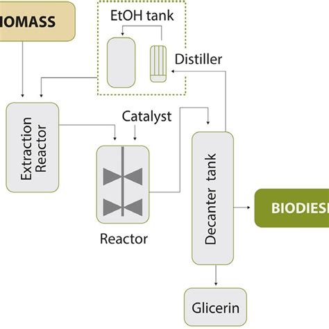 Proposed Process Diagram For Production Of Biodiesel By Simultaneous