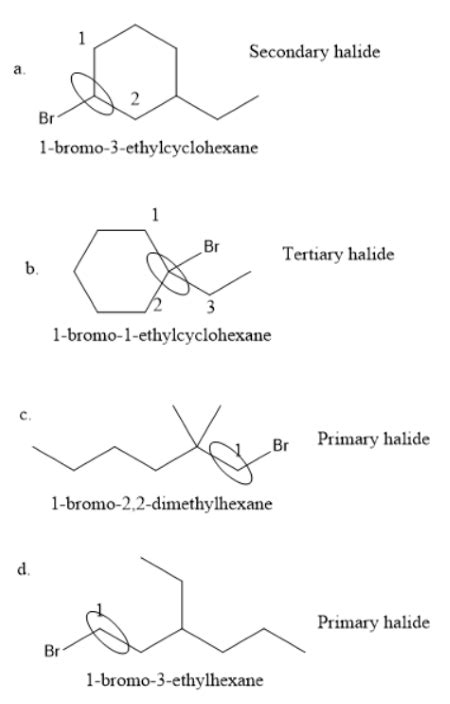 Which Of The Following Alkyl Halides Would Undergo An Sn Reaction Most