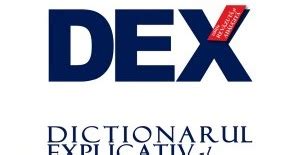 Despre Nimicuri Si Alte Fantezii A Scrie Si A Vorbi Ca In Dex Sau Nu