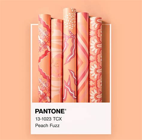 Trendfarbe 2024 Peach Fuzz Ist Dieses Jahr Ein Must Have