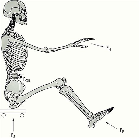 Outdoor Pursuits: Biomechanics of Erging