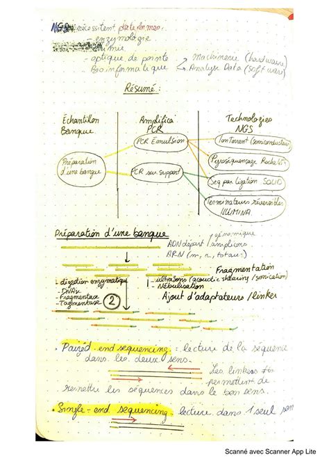 SOLUTION Msc Biologie Mol Culaire Next Generation Sequencing Studypool