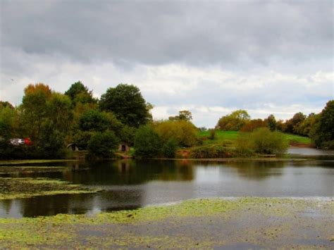 evening walk lindow common lindow moss spice social