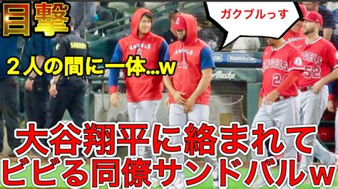 サンドバルが大谷翔平にビビるw【大谷翔平のボス感w】大谷選手に近寄られた仲良しサンドバルが慌てて守ったものとはw 現地8月6日 Youtube