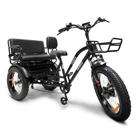 Forte Electric Tricycle With Rear Seat Electricgobike