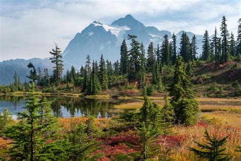 Premium Photo | Picture lake mount baker hiking trail in autumn