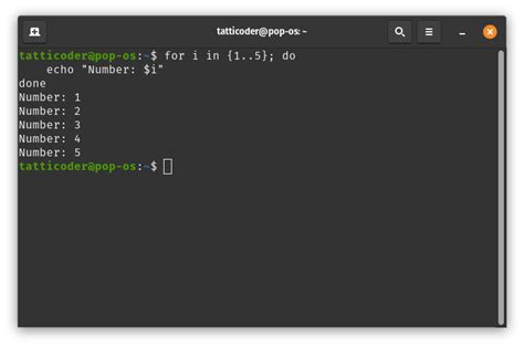 Introduction To Bash For Loops A Beginners Guide