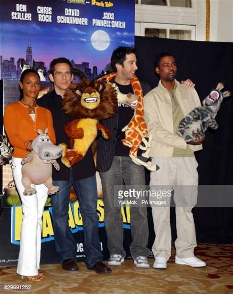 414 Schwimmer Madagascar Photos & High Res Pictures - Getty Images