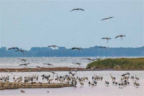 So schön ist der Herbst am Barther Bodden Ostsee Natur erleben