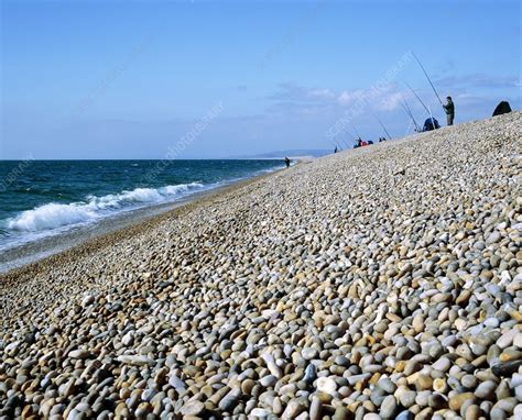 shingle beach stock image  science photo library