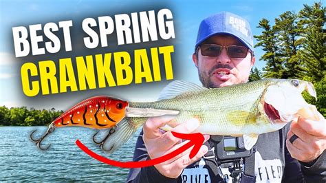 Unmasking The Best Crankbait For Successful Spring Bass Fishing Youtube