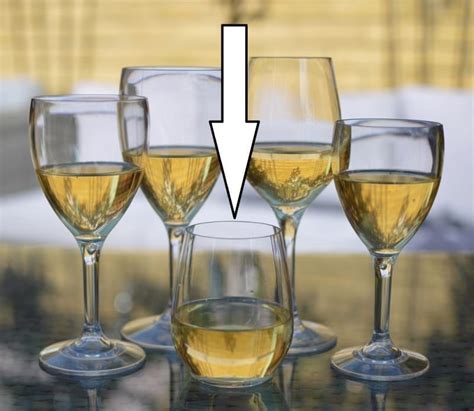 Stemless Plastic Wine Glasses Premium Quality Reusable And Unbreakable