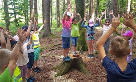 F Nf Schulen Aus Dem Bezirk Braunau Nahmen Am Umweltspielraum Teil