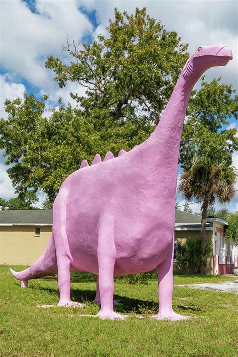 Pepto-Bismol Pink Dinosaur on Rt. 19 in Spring Hill, Florida Photograph ...